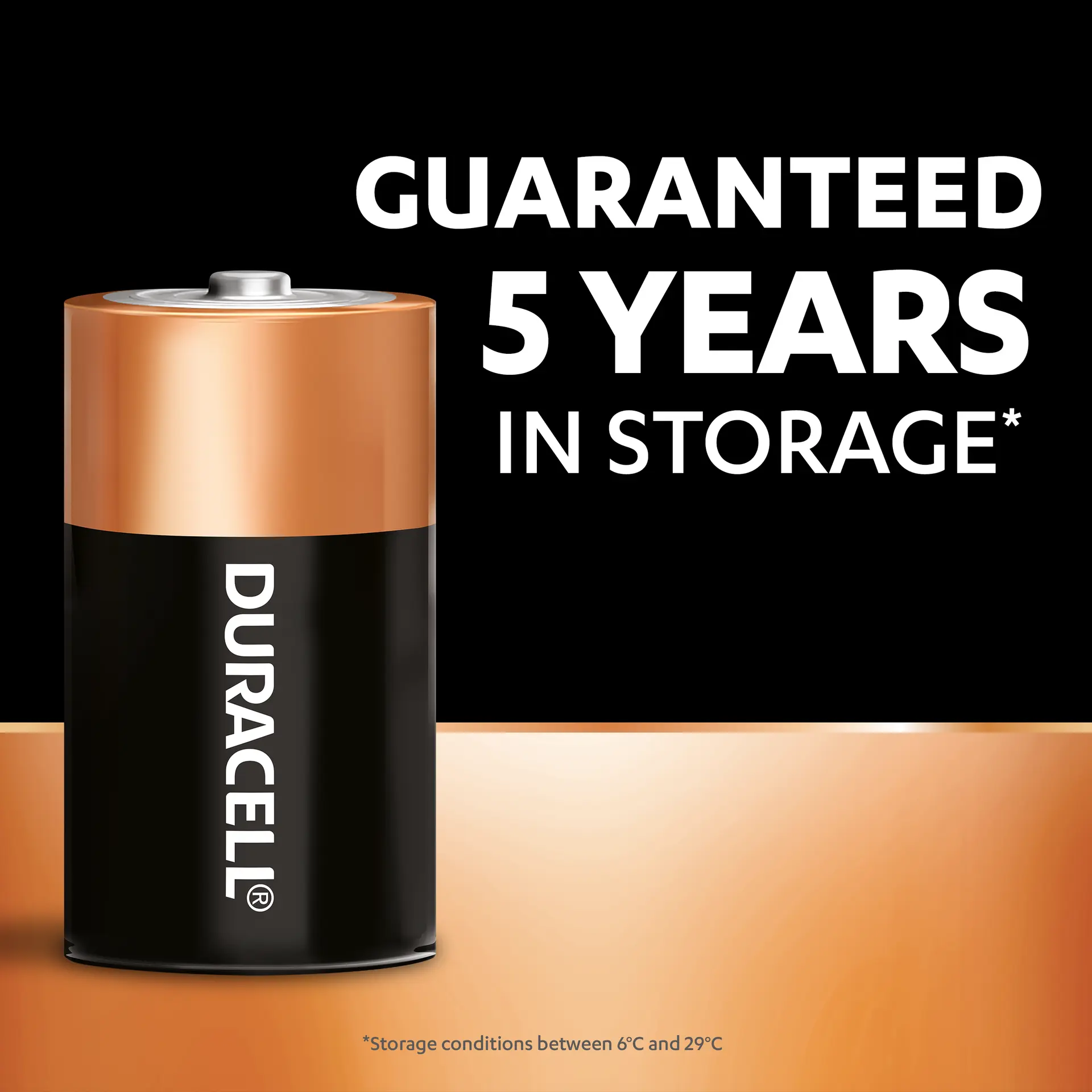 Duracell Batteries Type D 2 Pcs - view 8